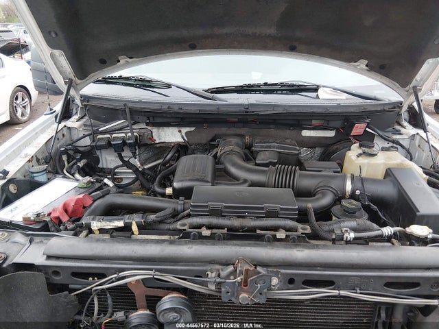 Aukcja sprzedaży 2009 Ford F-150 Fx4/lariat/xl/xlt, vin: 1FTPX14VX9FB08545, numer aukcji: 44567572