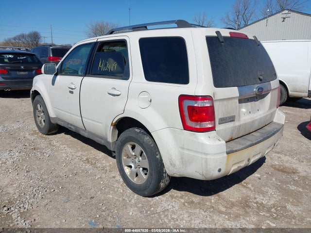 2009 FORD ESCAPE 1FMCU04769KC31457 Photo 2