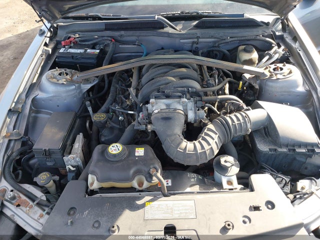 2006 FORD MUSTANG 1ZVHT82H165236712 Photo 9