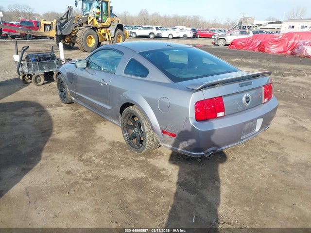 2006 FORD MUSTANG 1ZVHT82H165236712 Photo 2