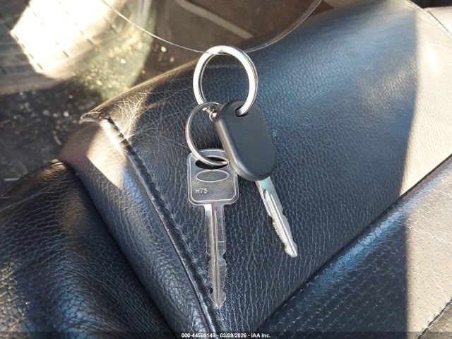 2009 FORD MUSTANG 1ZVHT82H095125766 Photo 10