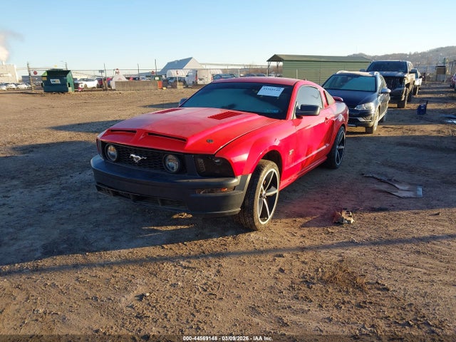 2009 FORD MUSTANG 1ZVHT82H095125766 Photo 1