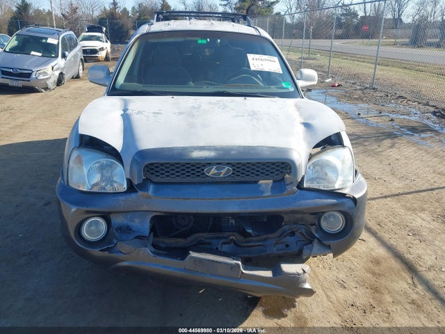 2004 HYUNDAI SANTA FE KM8SC13D34U742794 Photo 5