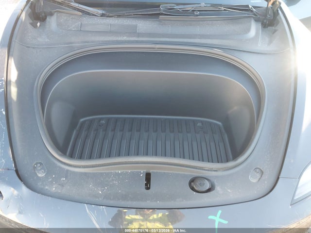 2025 TESLA MODEL 3 5YJ3E1EA6SF924176 Photo 9