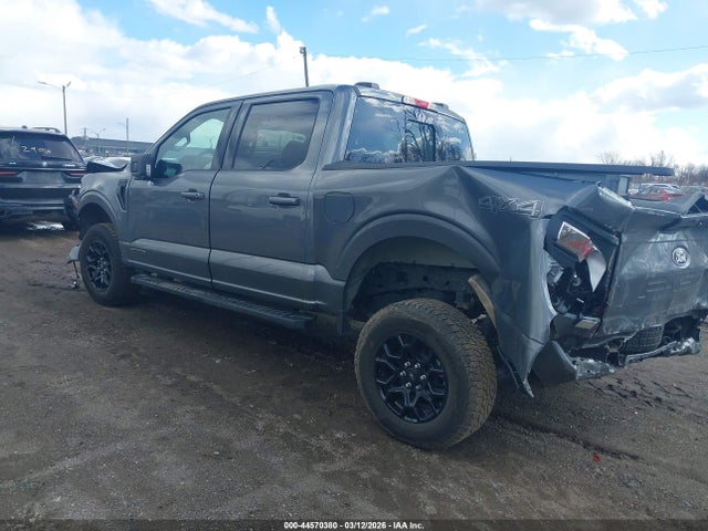 44570380 :رقم المزاد ، 1FTFW3LD7SFC22317 vin ، 2025 Ford F-150 Xlt مزاد بيع