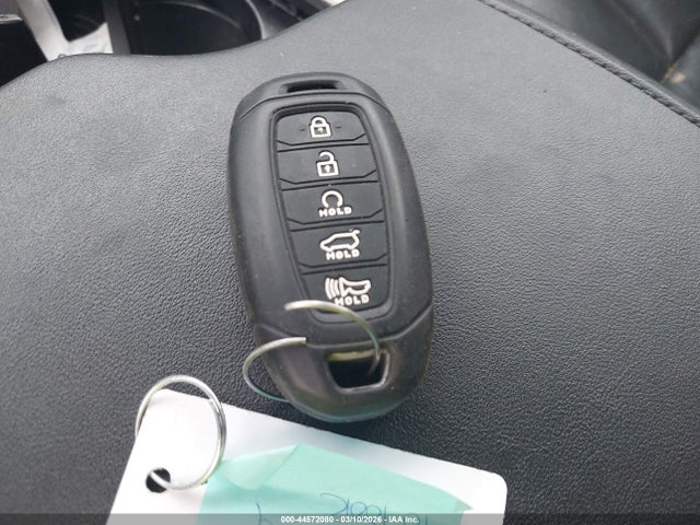 2020 HYUNDAI PALISADE KM8R4DHE5LU145420 Photo 10