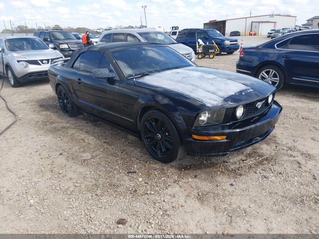2006 FORD MUSTANG 1ZVFT85H865180125
