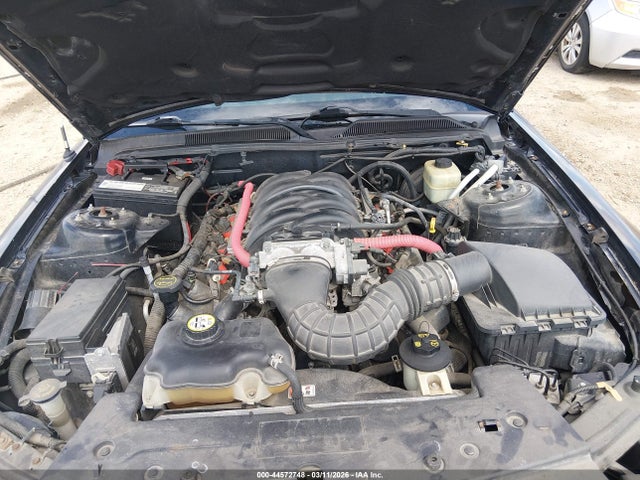 2006 FORD MUSTANG 1ZVFT85H865180125 Photo 9