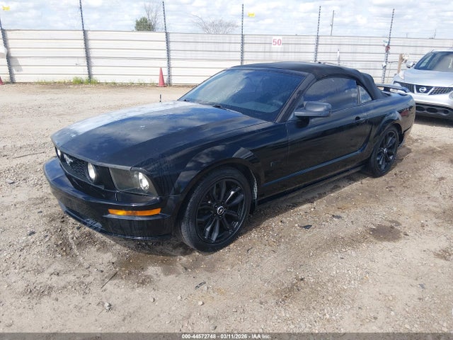 2006 FORD MUSTANG 1ZVFT85H865180125 Photo 1