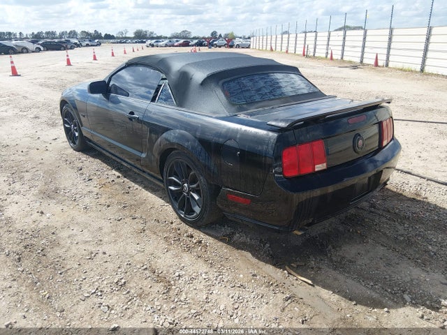 2006 FORD MUSTANG 1ZVFT85H865180125 Photo 2