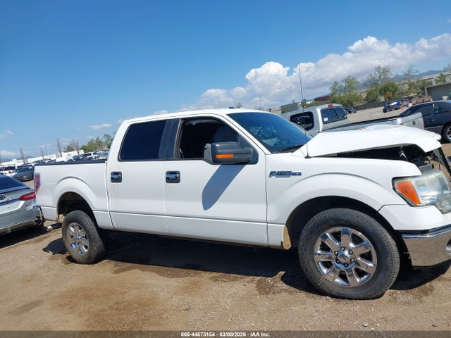 Ford F-150 Xlt 2014 1FTFW1CF8EFA45304 Image 14