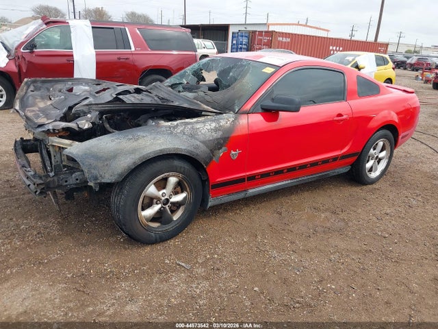 2009 FORD MUSTANG 1ZVHT80N695113873 Photo 1