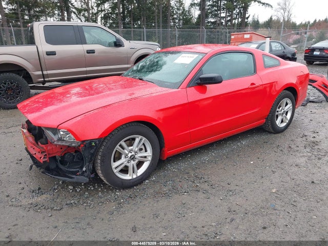 2013 Ford Mustang V6 მანქანა იყიდება აუქციონზე, vin: 1ZVBP8AM4D5208411, აუქციონის ნომერი: 44575209