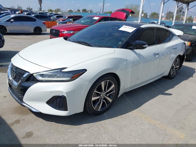 Nissan Maxima 3.5 Sl 2019 1N4AA6AV0KC384447 Image 2