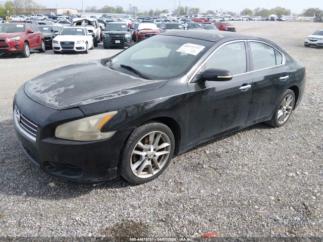 2009 Nissan Maxima 3.5 Sv მანქანა იყიდება აუქციონზე, vin: 1N4AA51E59C846473, აუქციონის ნომერი: 44575757