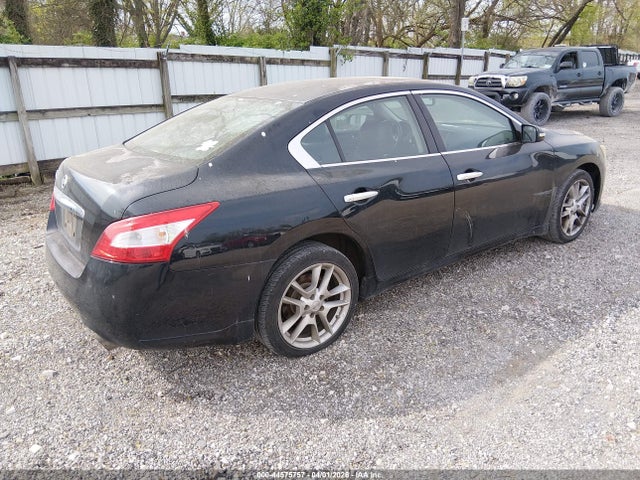 2009 Nissan Maxima 3.5 Sv მანქანა იყიდება აუქციონზე, vin: 1N4AA51E59C846473, აუქციონის ნომერი: 44575757