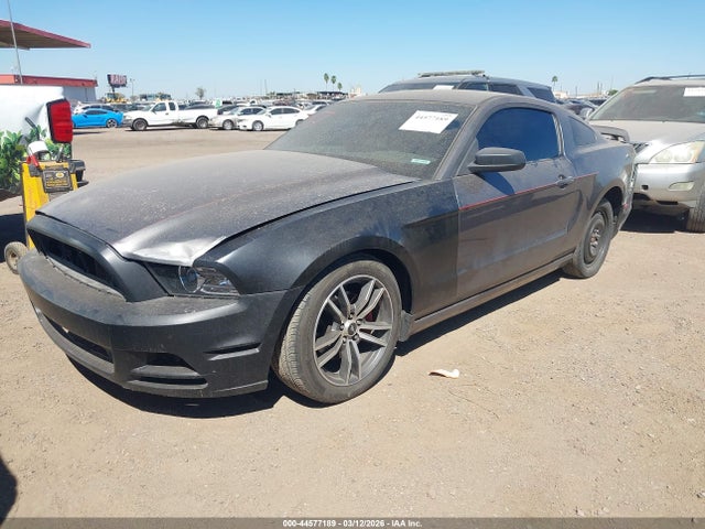 1ZVBP8AM1E5333612 Ford Mustang V6