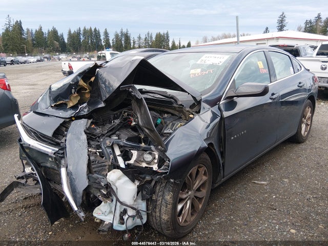 2019 CHEVROLET MALIBU 1G1ZD5ST1KF215394 Photo 1