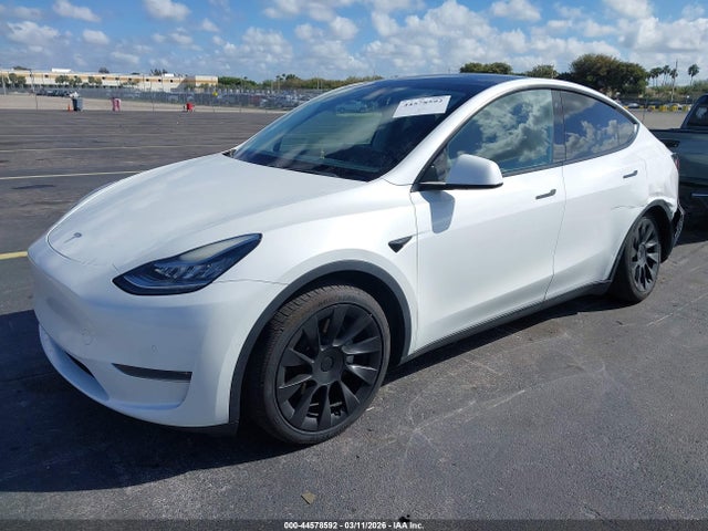 2020 TESLA MODEL Y 5YJYGDEE2LF043030 Photo 1