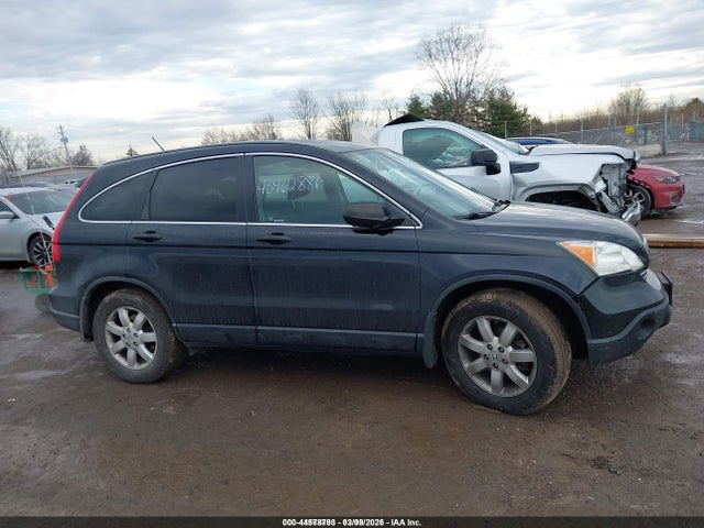 Auction sale of the 2007 Honda Cr-v Ex, vin: JHLRE48547C022160, lot number: 44578793