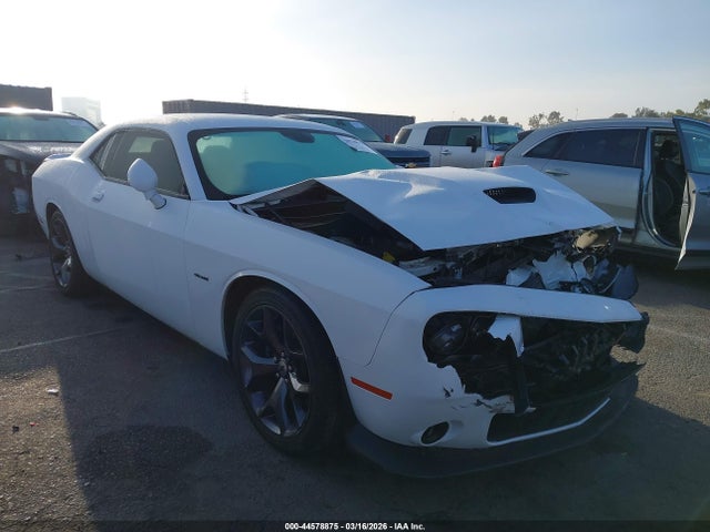 2019 DODGE CHALLENGER 2C3CDZBT4KH737508