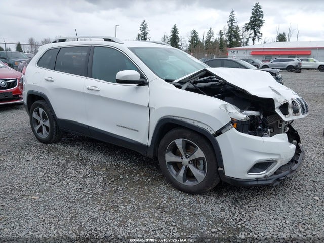 2019 JEEP CHEROKEE 1C4PJLDBXKD195948