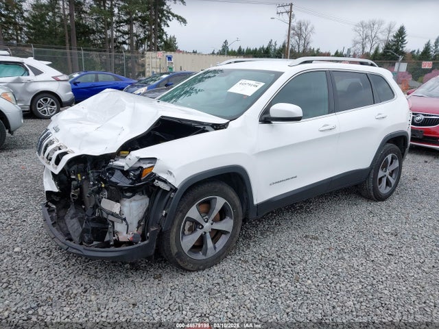 2019 JEEP CHEROKEE 1C4PJLDBXKD195948 Photo 1
