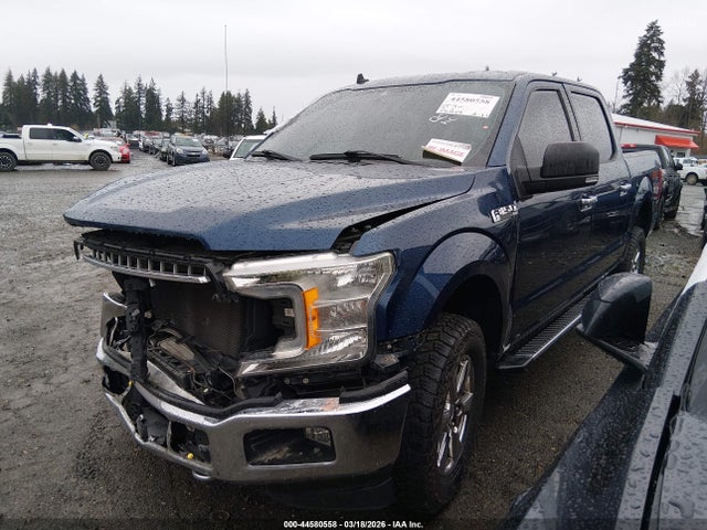 Ford F-150 Xlt 2019 1FTEW1E46KKE30273 Image 2