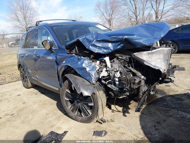 2024 Kia Telluride Sx Prestige მანქანა იყიდება აუქციონზე, vin: 5XYP5DGC4RG436428, აუქციონის ნომერი: 44581408