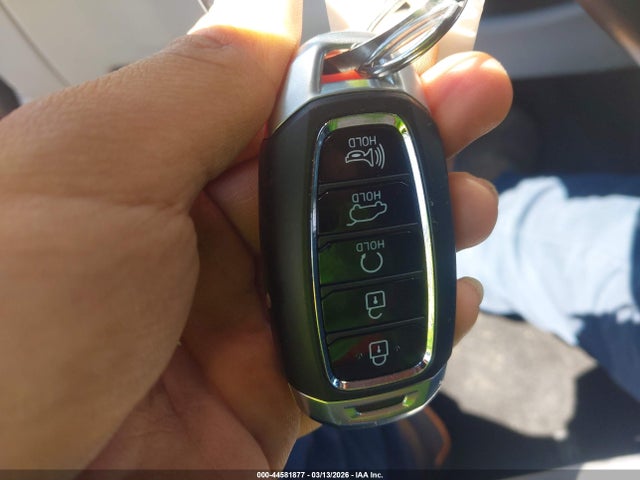 2020 HYUNDAI PALISADE KM8R4DHEXLU039528 Photo 10