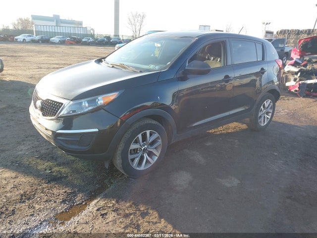 Продажа на аукционе авто 2016 Kia Sportage Lx, vin: KNDPB3AC1G7808202, номер лота: 44582387