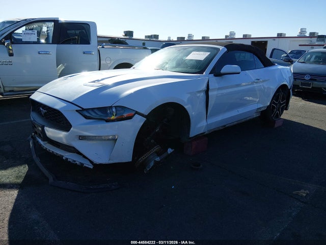 2019 FORD MUSTANG 1FATP8UH5K5159082 Photo 1