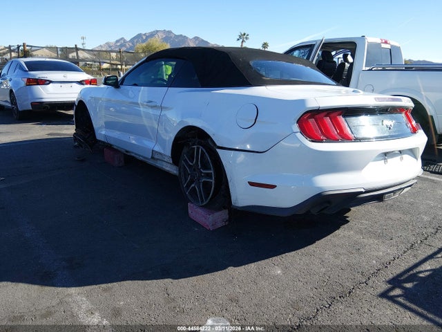 2019 FORD MUSTANG 1FATP8UH5K5159082 Photo 2