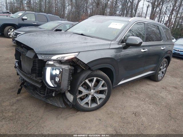2021 HYUNDAI PALISADE KM8R3DHE5MU253556 Photo 1