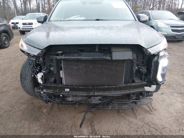 2021 HYUNDAI PALISADE KM8R3DHE5MU253556 Photo 5
