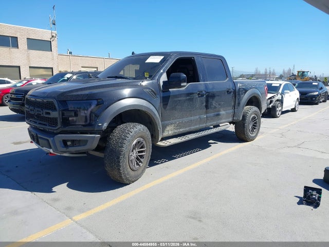 Ford F-150 Raptor 2020 1FTFW1RG6LFA14307 Image 2