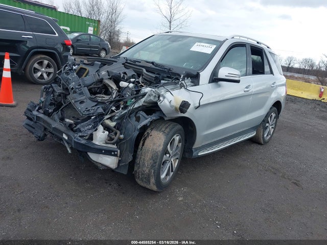 2019 MERCEDES-BENZ GLE 400 4JGDA5GB0KB216372 Photo 1