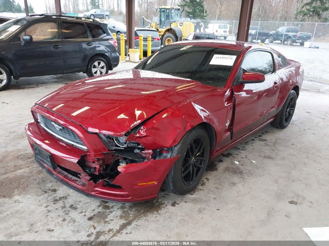 1ZVBP8AM5E5217863 Ford Mustang V6 Premium