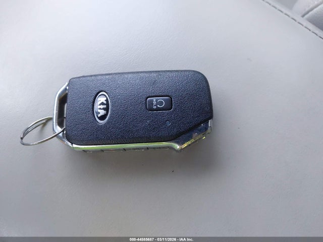 2021 KIA TELLURIDE 5XYP3DHCXMG114941 Photo 10