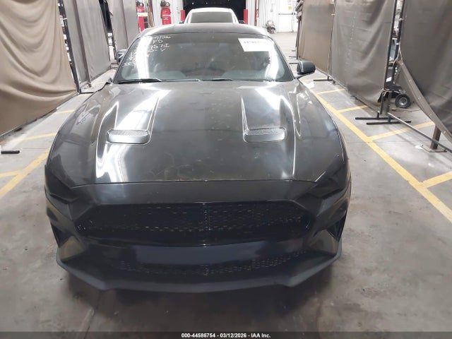 Ford Mustang Ecoboost Fastback 2020 1FA6P8TH2L5125150 Image 12