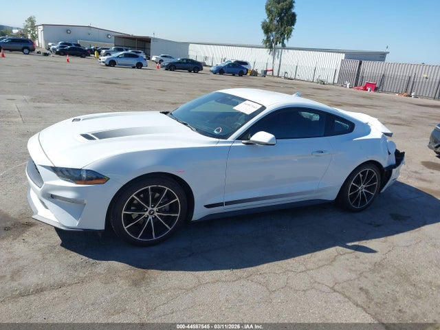 Ford Mustang Ecoboost Fastback 2021 1FA6P8TH7M5152085 Image 14