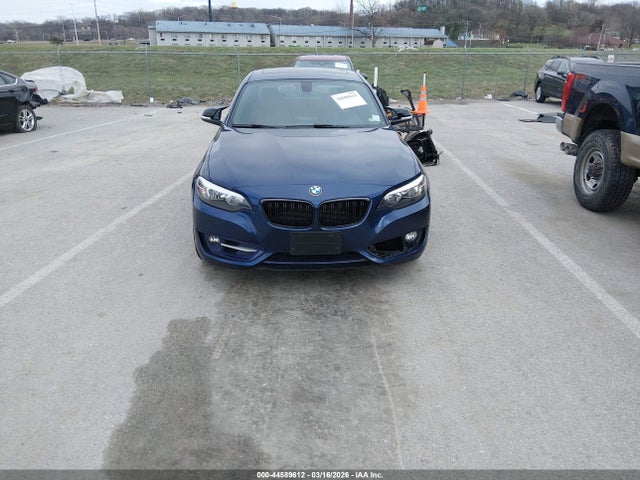 Auction sale of the 2016 Bmw 228i Xdrive, vin: WBA1G9C54GV599345, lot number: 44589612
