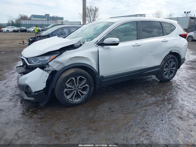 Honda Cr-v Awd Ex 2020 2HKRW2H52LH651185 Image 2