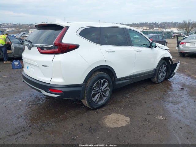 Honda Cr-v Awd Ex 2020 2HKRW2H52LH651185 Image 4