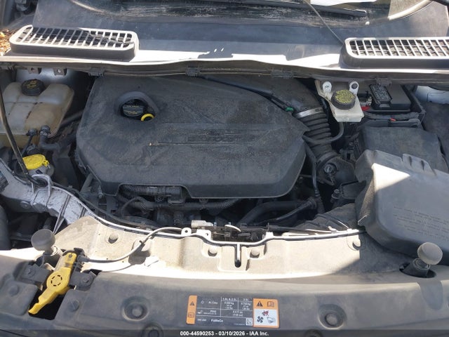 Ford ESCAPE SE 2014 1FMCU0GX0EUE24486 Image 10
