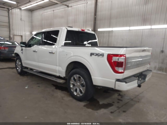 Ford F-150 Platinum 2023 1FTFW1E89PFA22731 Image 3