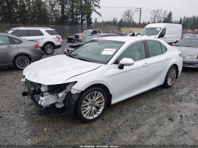 Aukcja sprzedaży 2019 Toyota Camry Xle, vin: 4T1B11HK7KU689897, numer aukcji: 44590546