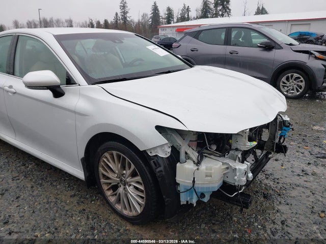 Aukcja sprzedaży 2019 Toyota Camry Xle, vin: 4T1B11HK7KU689897, numer aukcji: 44590546