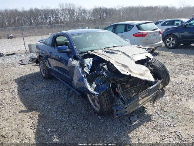 2006 FORD MUSTANG 1ZVFT82H265100953