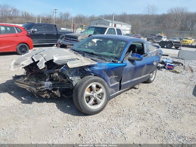 2006 FORD MUSTANG 1ZVFT82H265100953 Photo 1